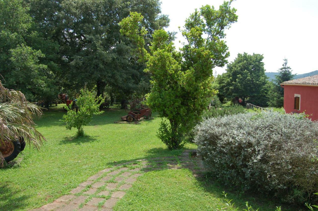 Agriturismo Castro Villa Ischia di Castro Dış mekan fotoğraf